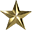 Gold Star